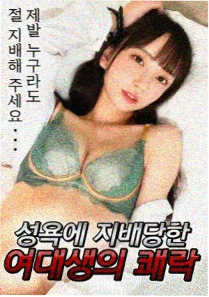 法老的宠妃失落的圣甲虫封面